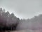 Fog lifting from the forest, Albania