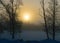 fog morning, sun through fog, silhouettes of trees and branches, winter landscape, blurred smoky fog background