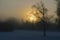 fog morning, sun through fog, silhouettes of trees and branches, winter landscape, blurred smoky fog background