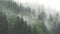 Fog in Mountains, Clouds Heavy Rainy Day, Cloudy Mystical Foggy Forest, Stormy Mist Haze Smoke, Alpine Wood Overcast Landscape