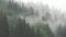 Fog in Mountains, Clouds Heavy Rainy Day, Cloudy Mystical Foggy Forest, Stormy Mist Haze Smoke, Alpine Wood Overcast Landscape