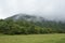 Fog in the mountains of Georgia