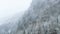 Fog in the mountains.Mountains and forest under flying snow. Slow Movement. Weather in the mountains .Mountain landscape