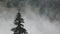 Fog in Mountains, Raining in Forest, Smoke, Mystical View, Foggy in Alpines, Mysterious Scary Scenery, Clouds in Wood, Timelapse