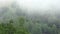 Fog in Mountains, Raining in Forest, Smoke, Mystical View, Foggy in Alpines, Mysterious Scary Scenery, Clouds in Wood, Timelapse