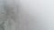 Fog on mountainside. Shot. Diagonal mountainside with trees in fog close up. Dense fog envelops entire space of slope