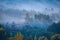 Fog over city and trees. earlier morning over village. railway bridge in fog