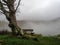 Fog over Lake Pranda in the Apennine mountains, Italy. With bench and tree. Tranquil melancholic background ideal