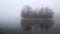 Fog over lake. Silhouettes of bare trees on small island reflect in water