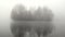 Fog over lake. Silhouettes of bare trees on small island reflect in water