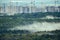 Fog over a large summer forest with city houses under construction and cranes at sunrise