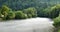 Fog over the river, shore with cabbage trees, beautiful soothing view