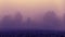 Fog over rural landscape with ploughed field and edge of forest on winter evening. Pastel yellow, violet colors. Surreal impressio