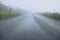 Fog over small country asphalt road. Selective focus, dangerous driving conditions concept