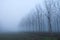 Fog panorama foggy landscape sky sun filter trees
