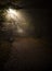 Fog in the park, night, soft focus, high iso,