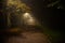 Fog in the park, night, soft focus, high iso,