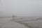 Fog, People and Sandy Beach in New England