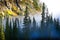 Fog and Pine Tree on Rugged Mountainside