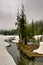 Fog and Pines along Kings Creek in Spring, Lassen Volcanic National Park