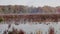 Fog rises over frosty fall foliage as geese gather in the pond