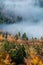 Fog rising from a colorful mixed autumnal forest