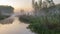 Fog rising up from the water at sunrise. A smal grey heron in the reed on the edge of the pond.