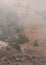 Fog rolls across the view of pines in the valley below Brian Head peak in Southern Utah