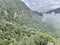 Fog-shrouded Cloud Forest Mountains