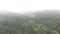 Fog smoke forest mountains. Pine trees in mountain forest. Beautiful autumn mountains at foggy rainy morning. Wild nature. Idyllic