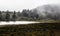 Fog in the Trees at a Coastal Wetland