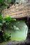 Fog Under a Bamboo Bridge