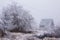 Fog vanishes distant view and snow covers path leading among trees. Feeling of coldness is in the air but the sun is rising.