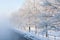 Fog winter landscape on the river Fabulous misty view of lake Frosty morning. Cold weather background concept. Abstract