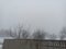 Fog in the winter. Winter landskape