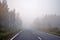 Fogbound road through the autumn forest.