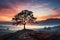 Fogbound tranquility solitary tree at sunrise, sunrise and sunset wallpaper