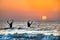 Foggia, Italy - August 13, 2014: two fishermans pull their fishnets