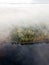 Foggy aerial view of shore forest with autumn foliage