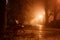 Foggy alley in night city park, misty landscape with burning lanterns, trees and benches