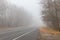 Foggy asphalt road through forest at autumn