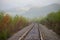 Foggy August morning on the Vorkuta-Labytnangi railway line. Ural, Russia