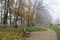 Foggy autumn day in the Park