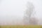 Foggy autumn landscape in Finland
