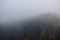 Foggy autumn mountain landscape with spruce forest.