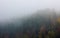 Foggy autumn mountain landscape with spruce forest.