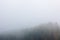 Foggy autumn mountain landscape with spruce forest.