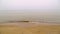 Foggy beach