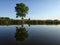 foggy blured orange sunrise at a river, the burning sky is reflected in calm water , dark tree silhouettes,