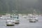 Foggy boats
